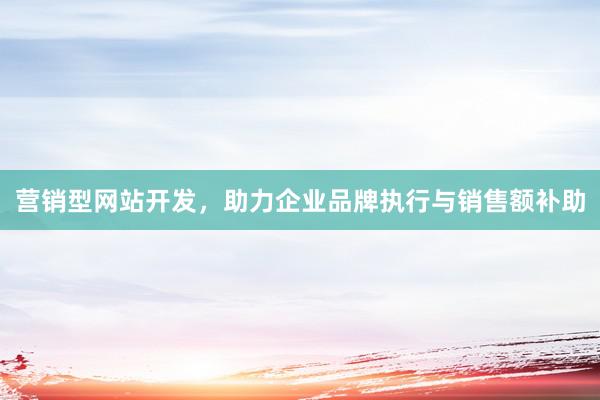 营销型网站开发，助力企业品牌执行与销售额补助